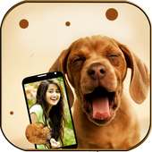 Animal Selfies on 9Apps