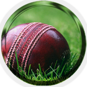 Cricket Ball icon