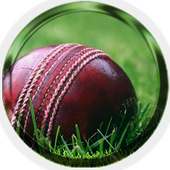 Cricket Ball on 9Apps