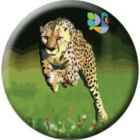 Hansa Cheetah on 9Apps