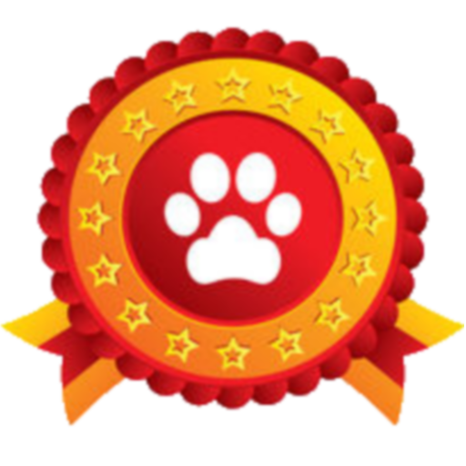 Treinar o Seu Cão icon