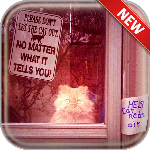 Funny Quotes Wallpapers icon