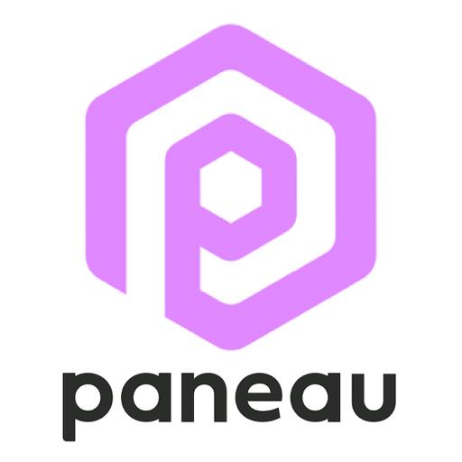 Drive With Paneau icon