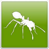 Ant App