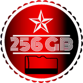 256GB SD CARD : MINI SD CARD Cleaner icon
