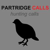 Partridge Calls for Hunting &amp; Partridge Sounds icon