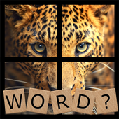 Guess the Picture icon