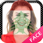 علم لبنان على الوجه أيقونة