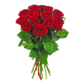 Roses Stickers for Whatsapp - WAStickerApps icon