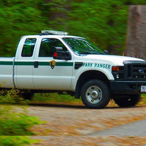 Police Truck Simulator : City icon