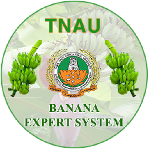 Banana Expert System icon