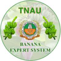 Banana Expert System on 9Apps