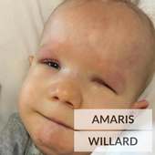 Amaris Willard on 9Apps