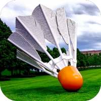 Badminton Crush League