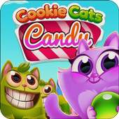Candy Cats Cookie