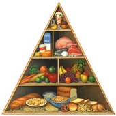 Food and Nutrition in Bangla icon