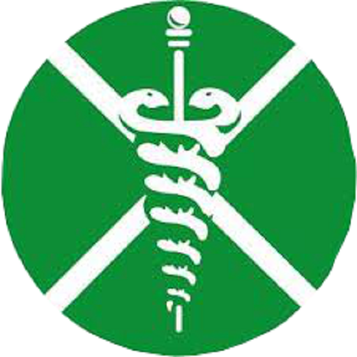 Semeval Resultados en Línea icon