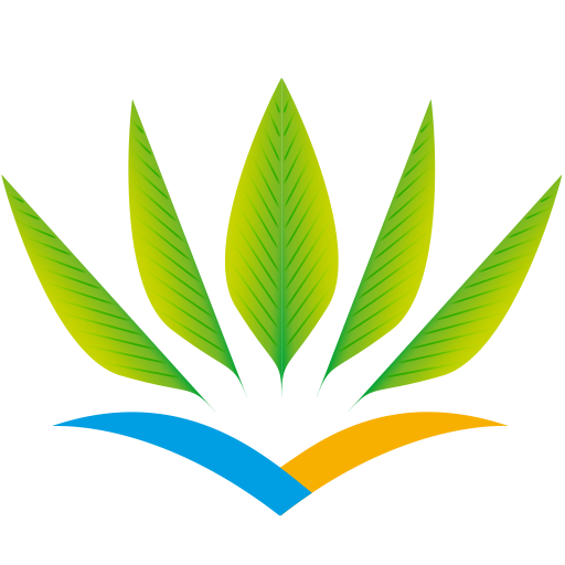 Air Caraïbes - Travels icon