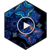 Flowers 3D Video Wallpaper icon