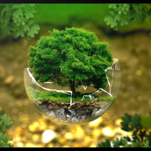 Grade 1 CBC Environment Notes icon