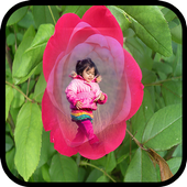 Rose Photo Frames icon