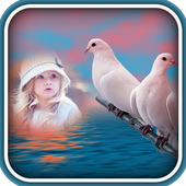 Dove Photo Frames icon