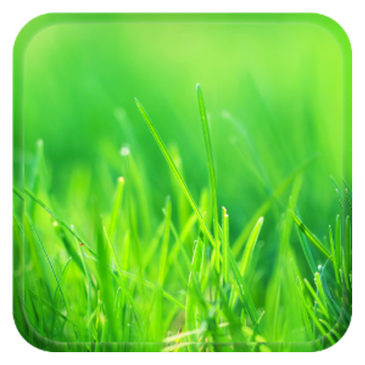 Aquaiver Grass Live icon