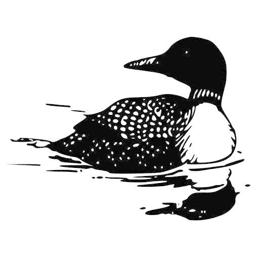 Loon Call Sound icon