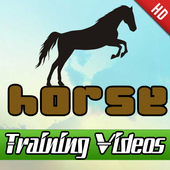 Horse Training Videos icon