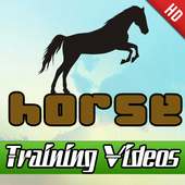 Horse Training Videos