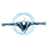 Full Circle Training