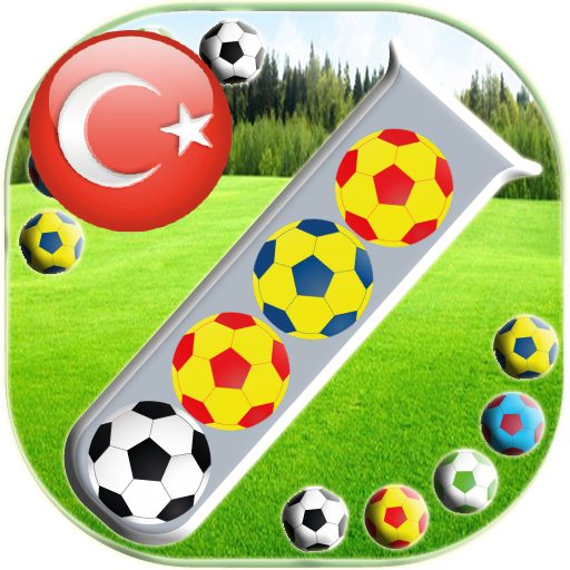 Ball Sort Puzzle icon