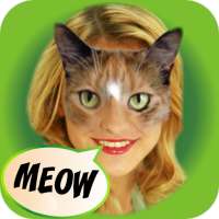 Look Like Cat on 9Apps