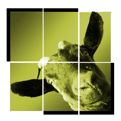 1 Bild 1 Wort True Pictures icon