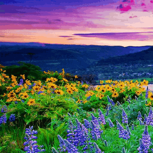 HD Wallpapers Offline icon