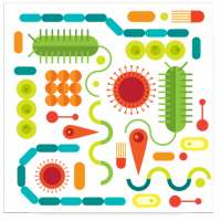 Classes of Antibiotics on 9Apps