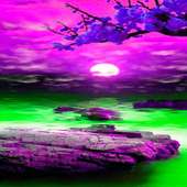 Purple Rock Live Wallpaper on 9Apps