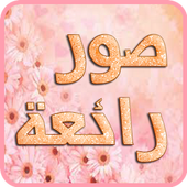 صور منوعة أيقونة