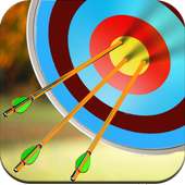 Archery Challenges