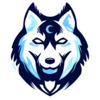 Crazystem VPN ( Official )