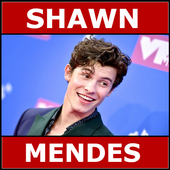 Shawn Mendess 2020 - OFFLINE (40 SONGS) أيقونة