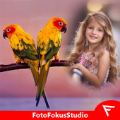 Bird Insta DP أيقونة