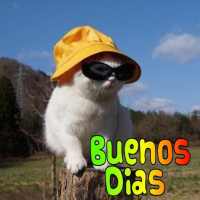 Saludos graciosos y divertidos