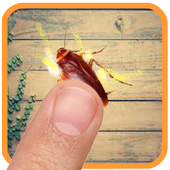 ikon cockroach smashing and killer , funny game