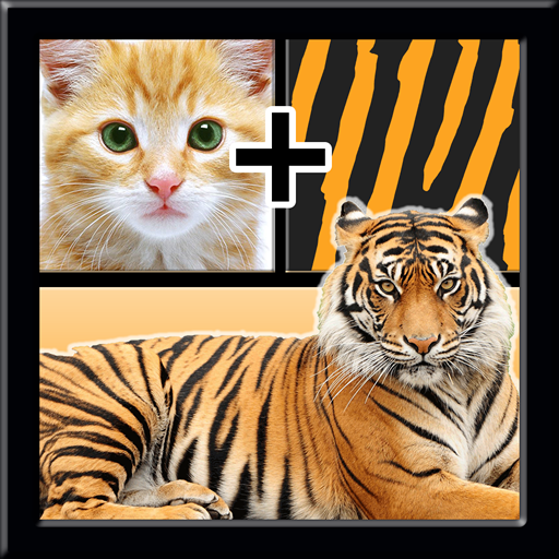 2 Pics 1 Word Quiz icon
