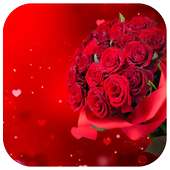 Wonderful flowers Images on 9Apps