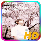 BTS Wallpaper Jungkook icon