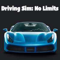 Driving Sim: No Limits