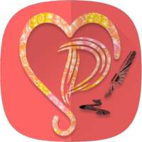 Video Status for Share Chat