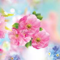 Spring Flower Live Wallpaper on 9Apps